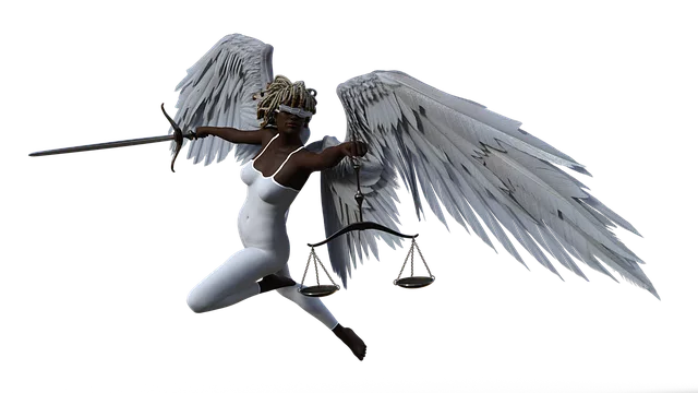 lawyer-attorney-law-judge-640x480-46382449.png