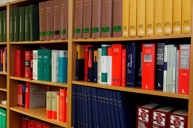 lawyer-attorney-law-judge-640x480-13958042.jpeg