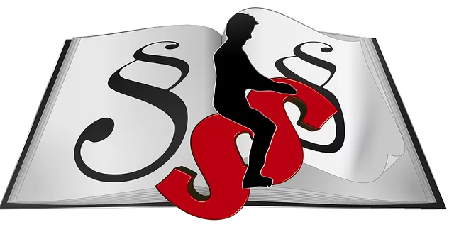 lawyer-attorney-law-judge-640x480-81667113.png