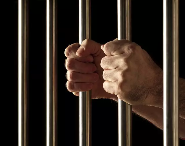 Save Money on Mail Fraud: Recognized Expert Offers Free Consultation