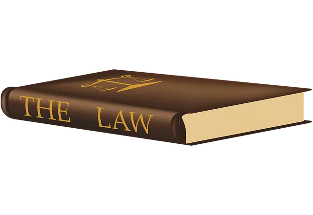 lawyer-attorney-law-judge-640x480-82596745.png