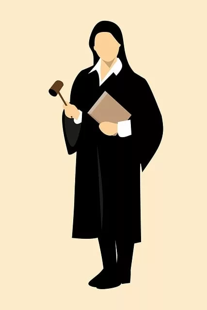 lawyer-attorney-law-judge-640x480-16365796.jpeg